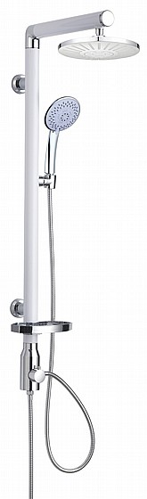 ���� ����� �����/����, ����/����