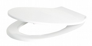 ���� ����