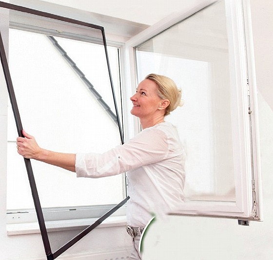 ����� ��������� �����