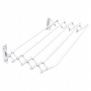 ���� ��������, BRIO