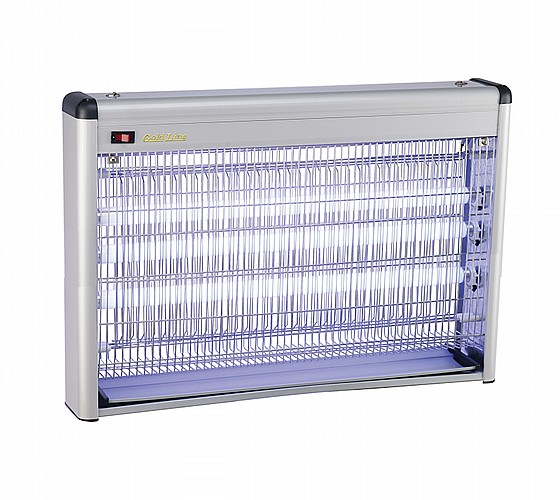 ���� ������ ������, 3X20W